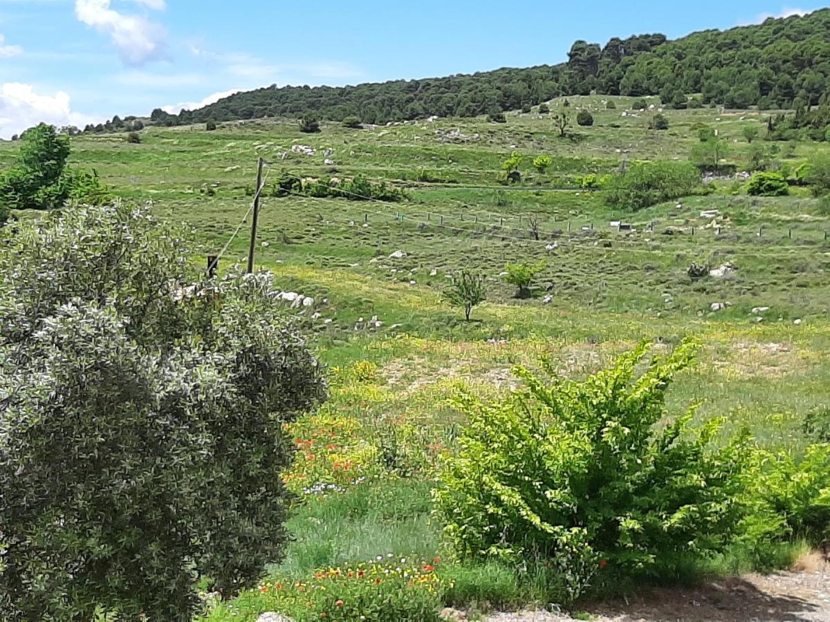 Casa Rural "Eccehomo De Borja" Guest House Exterior photo