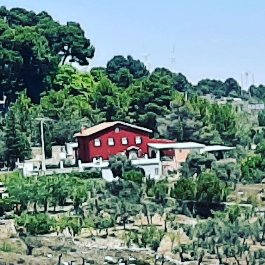 Casa Rural "Eccehomo De Borja" Guest House Exterior photo